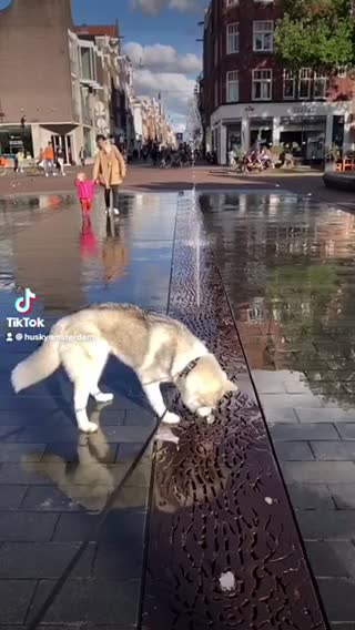 Look what happened 😝