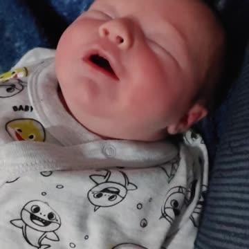 Lilly January 12th 2022