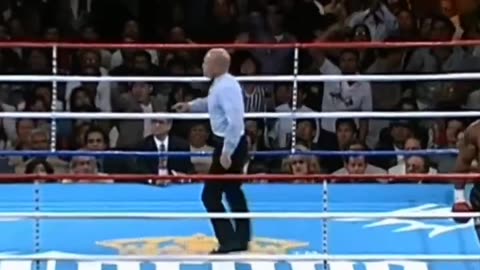 Boxing Fight