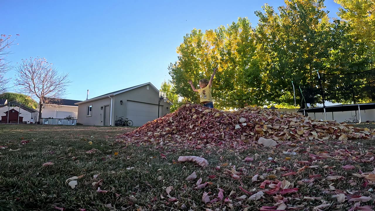 Playing in a pile of leaves and cleaning it up