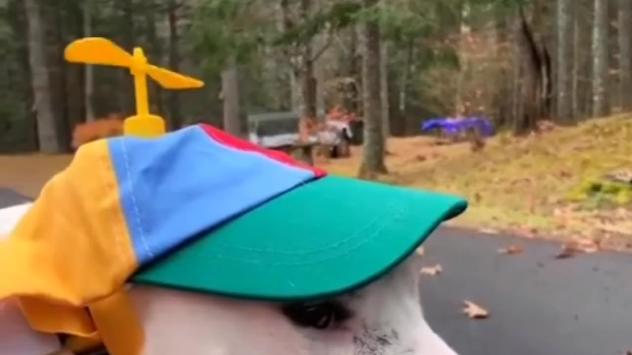 😂😂😂😂