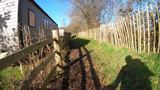 Hiking in the new forest. Speedlapse. GOPRO Feb 2022