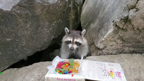 Bonbons pour mademoiselle