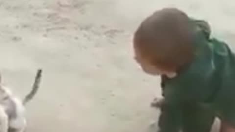 Cute fight