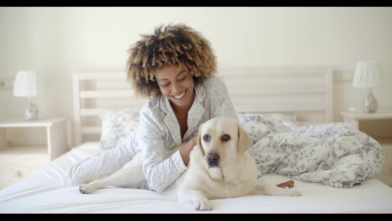 Woman Is Holding A Dog On A Bed