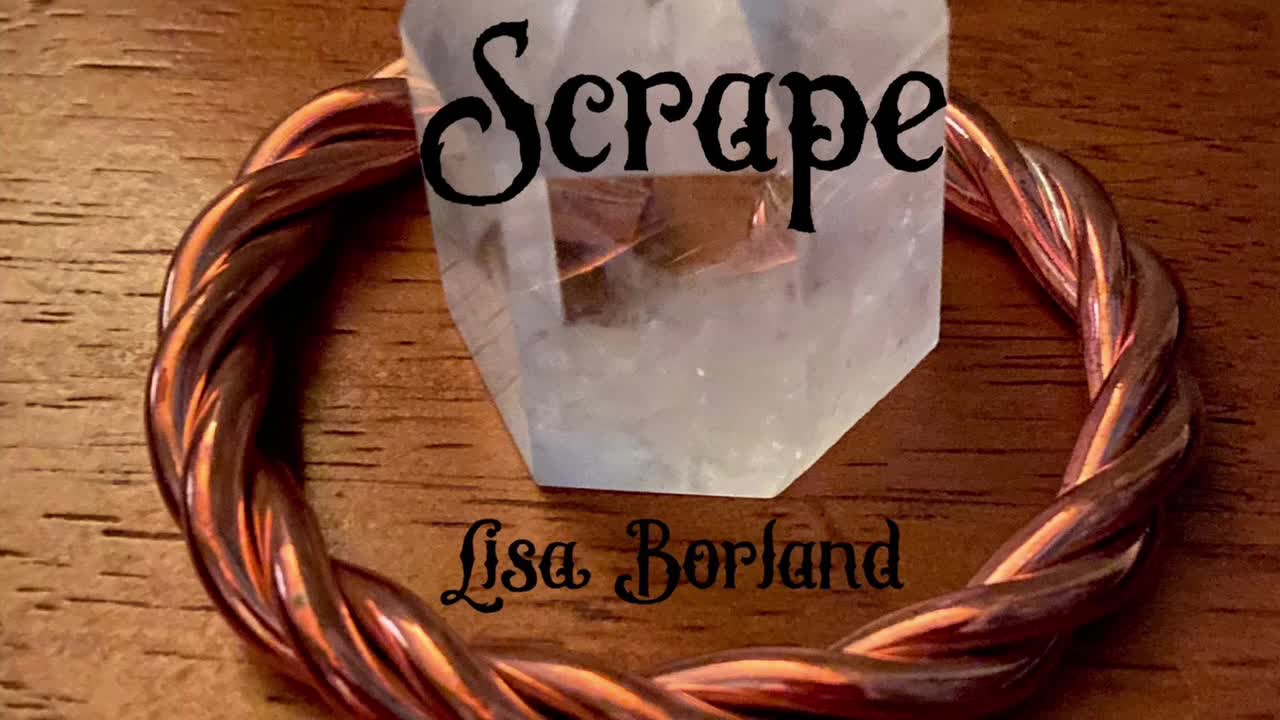 Scrape by Lisa Borland
