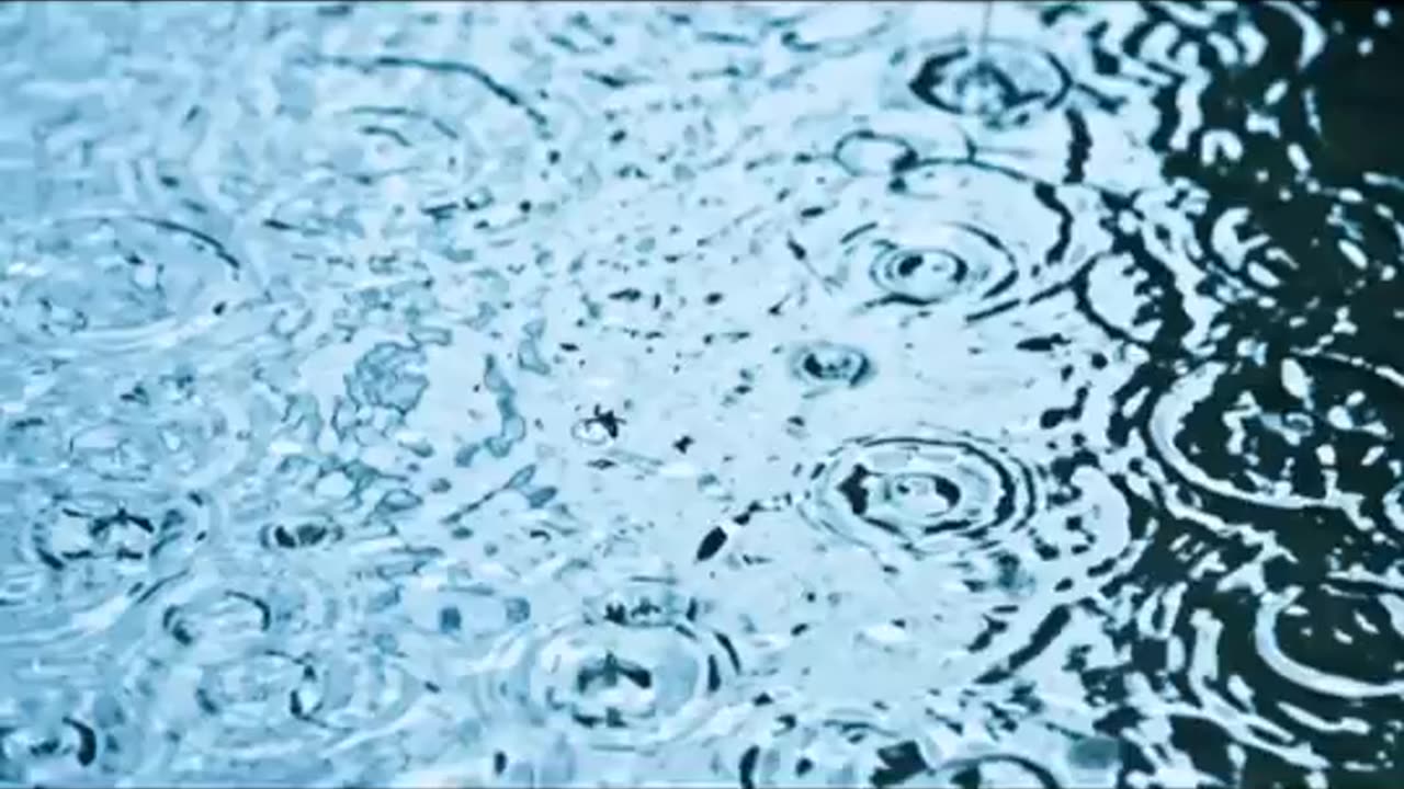 Rainfall Rhythms: Nature's Soothing Symphony