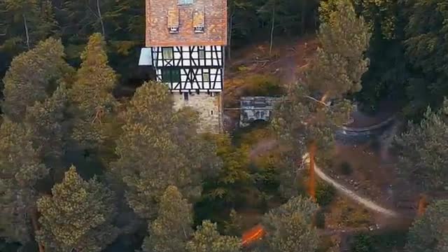 Lonely tower in the middle of the forest