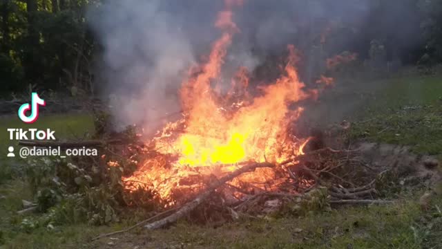 Backyard bonfire