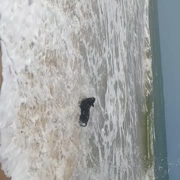 A Prima Vera Chegou...23/09/23