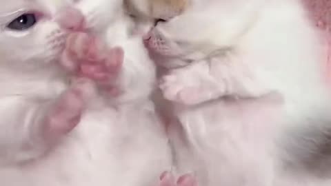 It's so cute that I can watch it all day