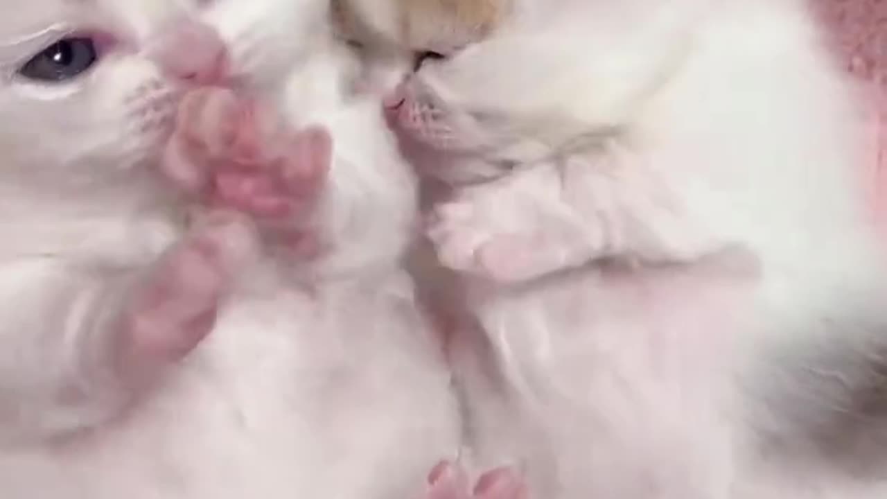 It's so cute that I can watch it all day