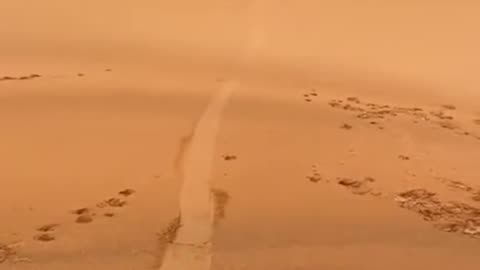 Desert