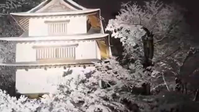 beautiful winter