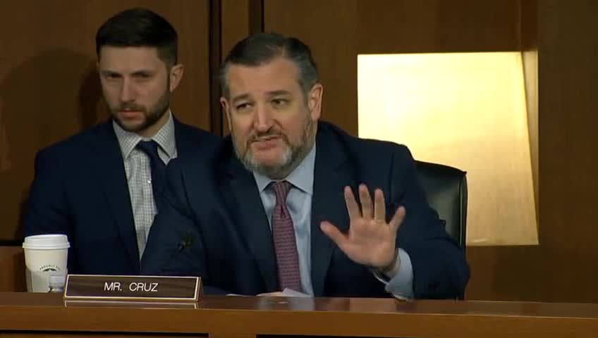 Ted Cruz HAMMERS Assistant AG For NEGLIGENCE On BLM Riots