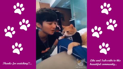 A must watch satisfaction garantee,FUNNIEST🐶DOGS AND😻CATS - AWESOME FUNNY PETS