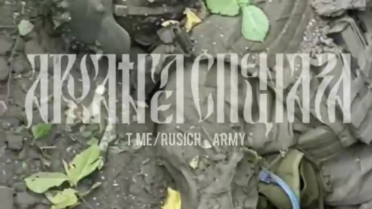 Scenes from Kursk. Many more AFU dead and captured appear.