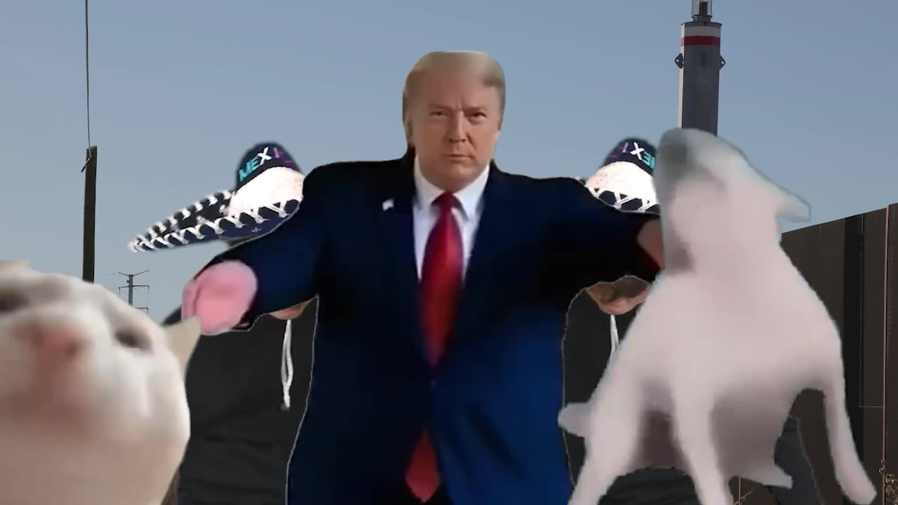 The USA Border Experience