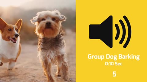 Best dogs for signs