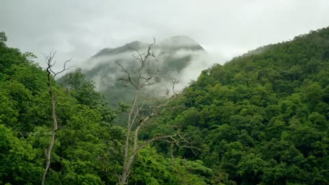 Natural best video themes : 2