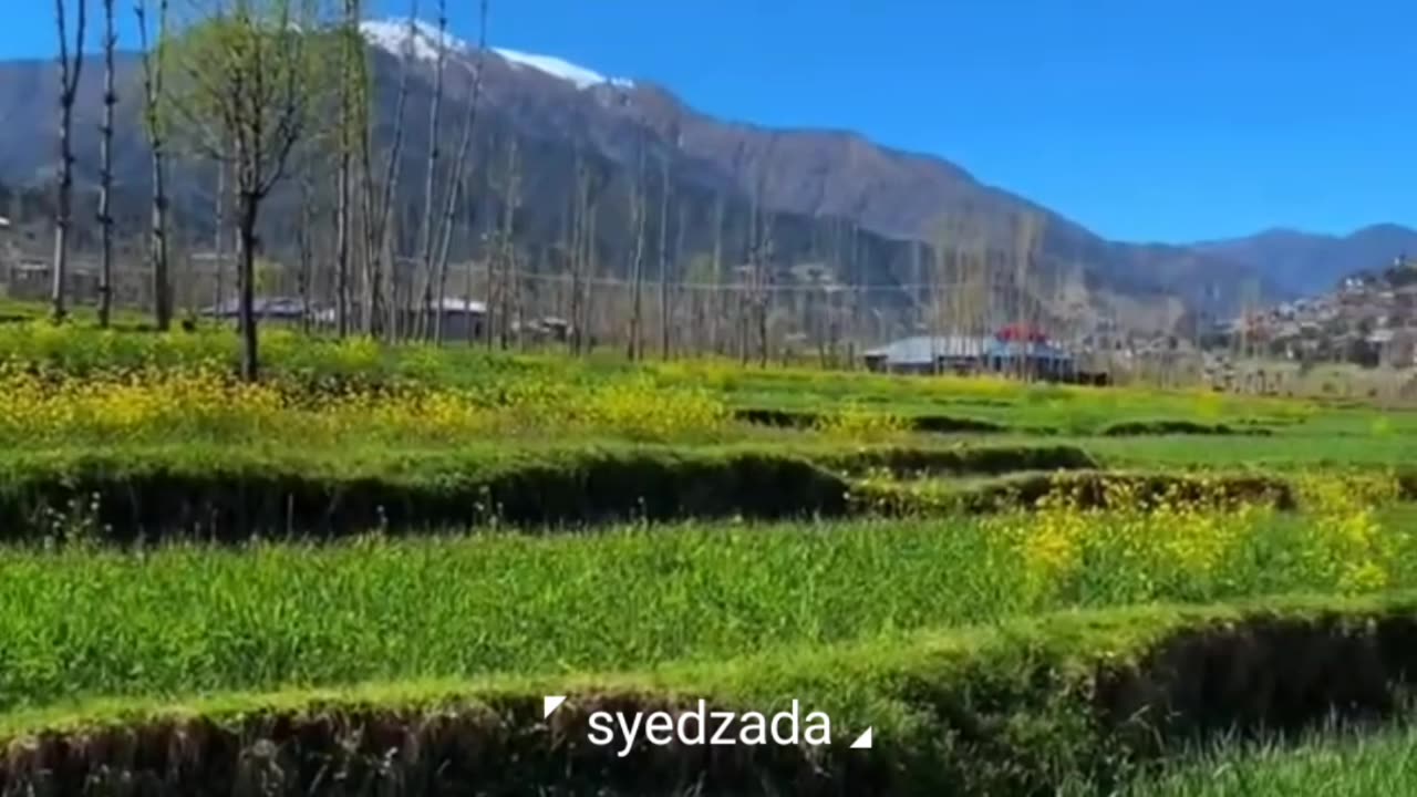 Wow😮 what a beautiful place 🇵🇰