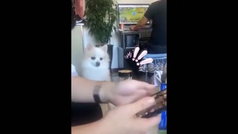 Try not to laugh (clean)