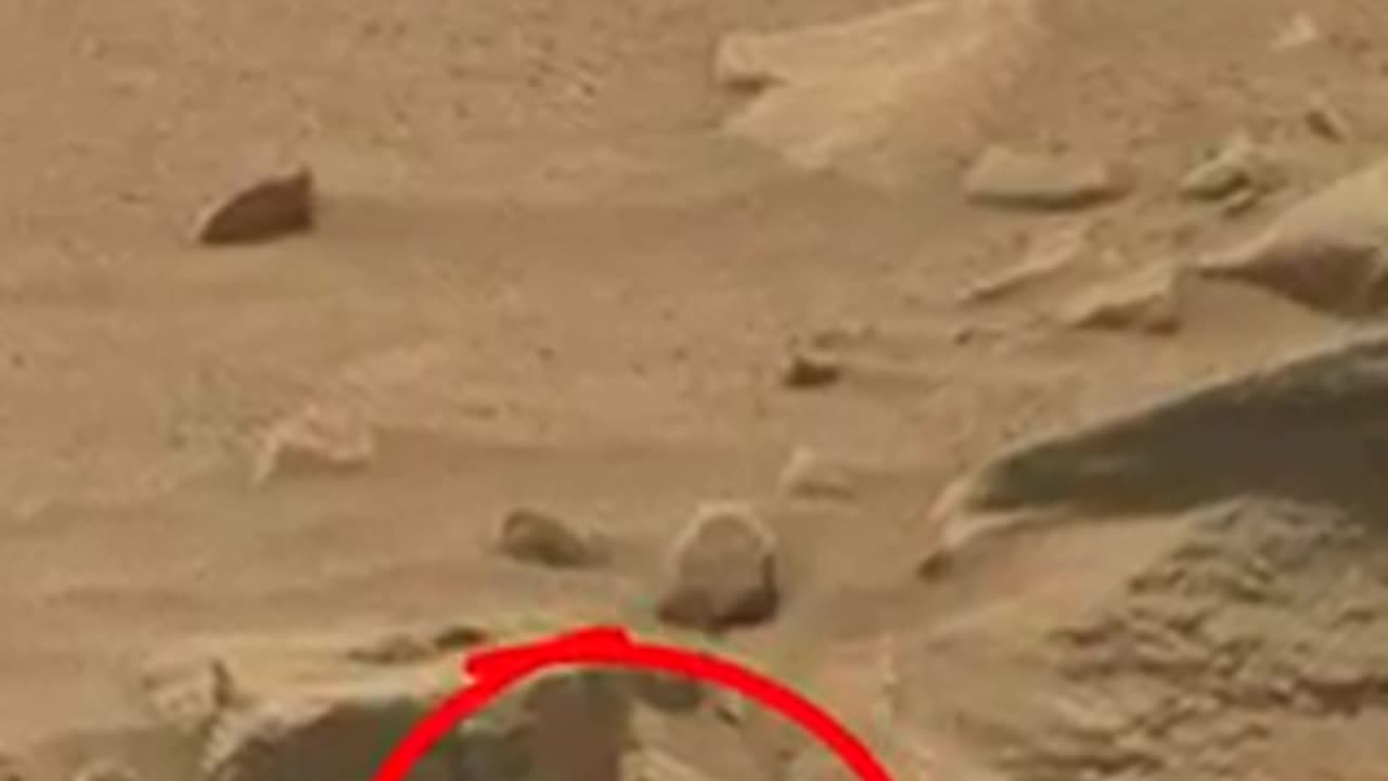 MARS ROVER COURISTY SOL 707