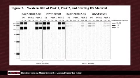 The Cover-Up: How Pfizer and Biontech FALSIFIED lab results in order to bring vaccines to market