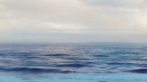 your daily motivation shot #2