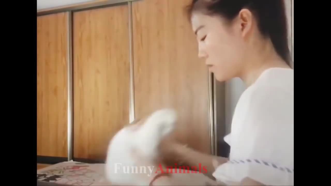 Funny Cat Videos Compilation 2023 - TRY NOT TO LAUGH or GRIN