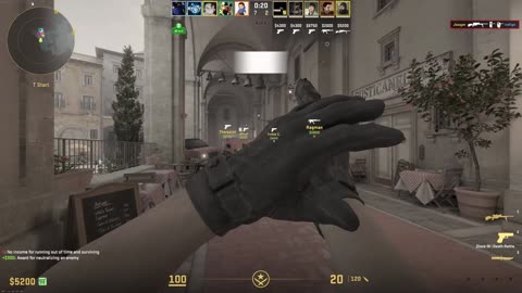 Scout Luck