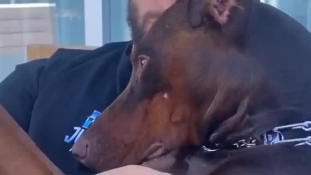 So Beautiful Dog 🐕
