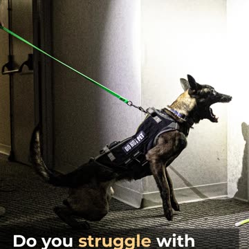 Revolutionizing Public Safety: The Ten 8 Project - Donate Now!