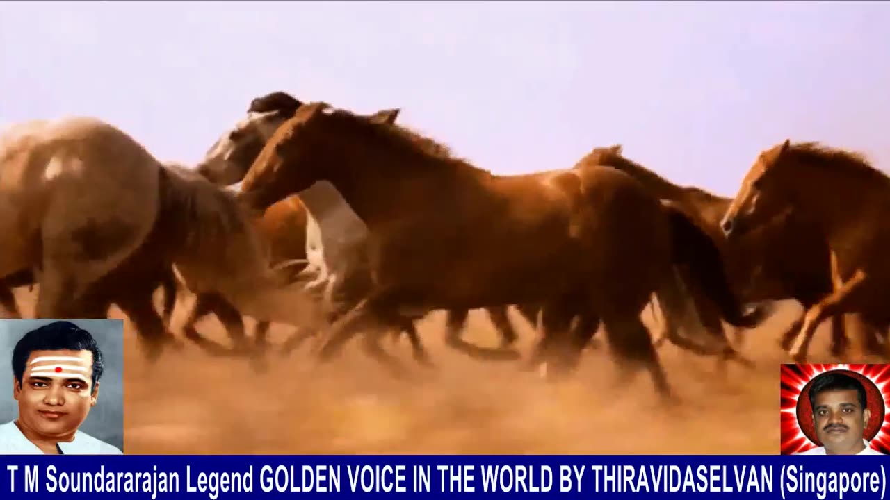 Old Is Gold (evergreen) T M Soundararajan Legend Vol 229 Horse Song 2,