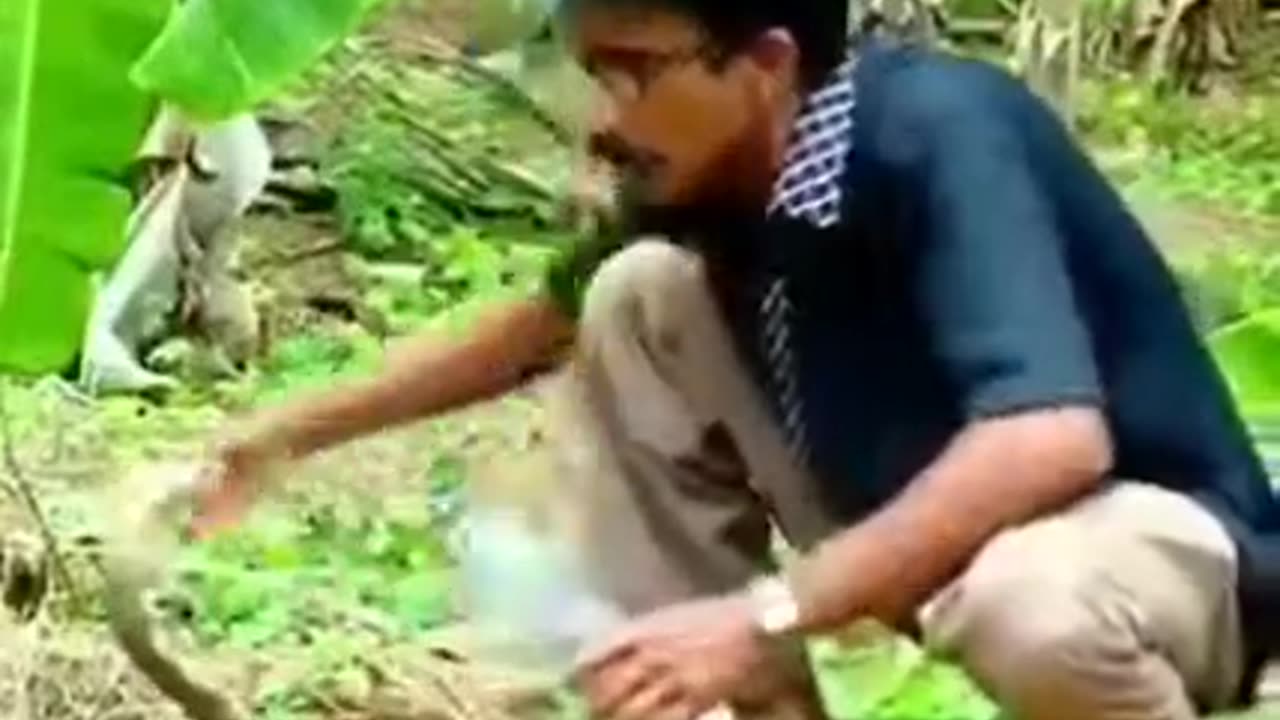 Gave Water to the Thirsty Dangerous Cobra #shorts #viral #shortsvideo #video