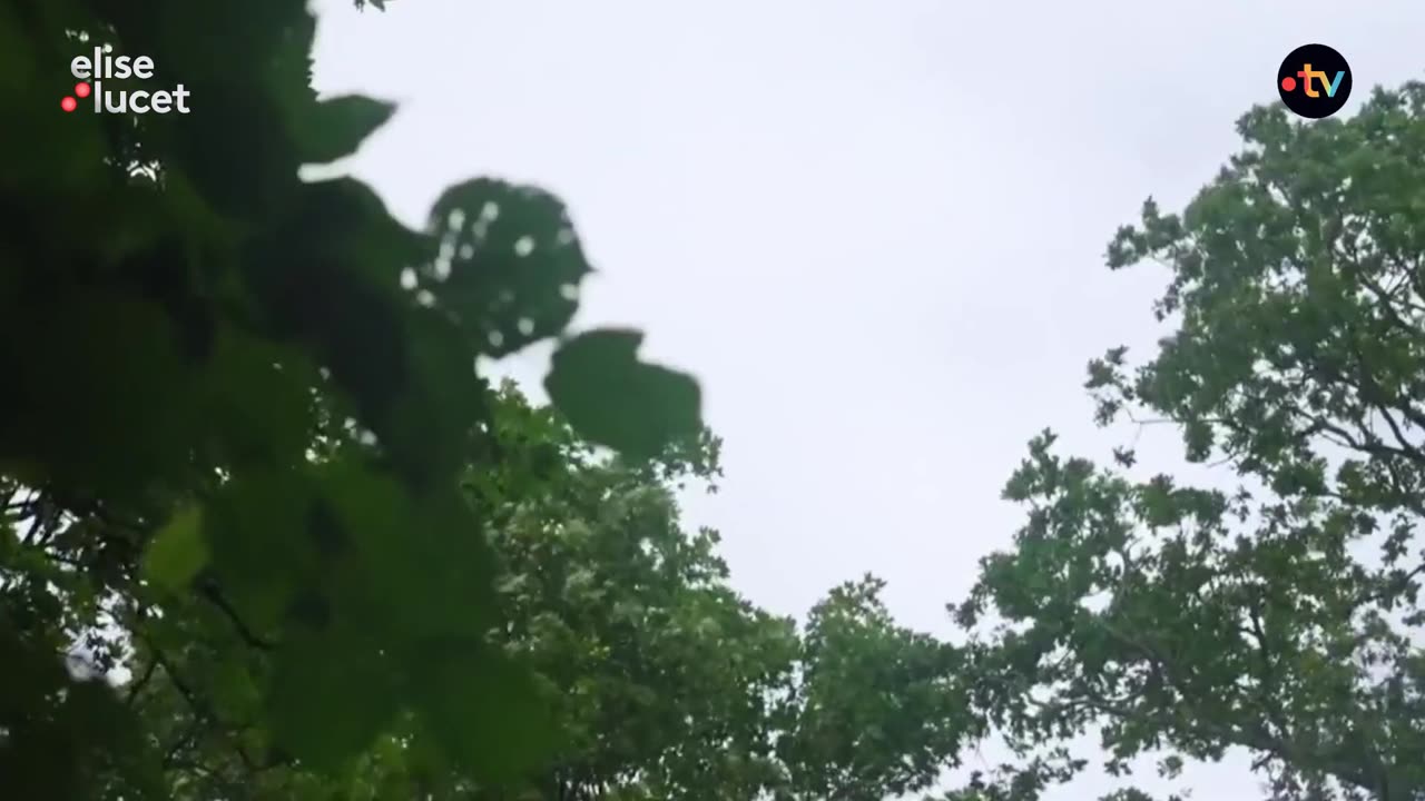 De l'héroïne dans la Meuse I Envoyé Spécial