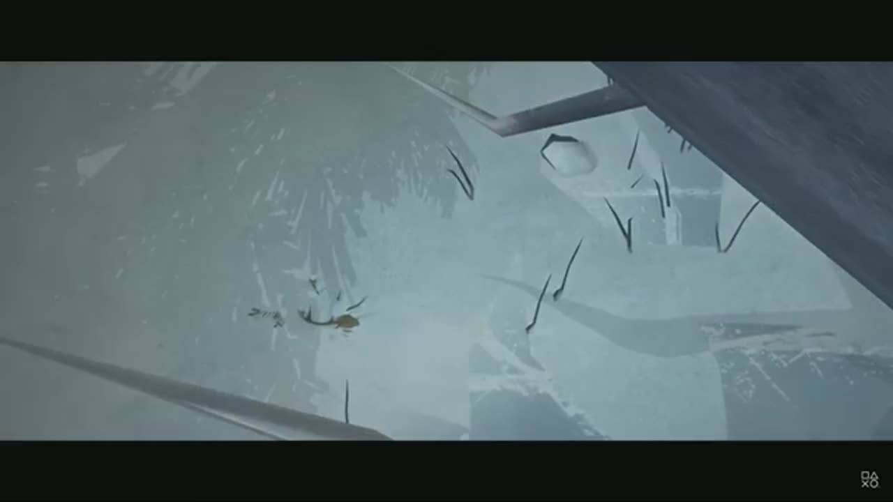 Black Frost: The Long Dark 2 Trailer & Info Breakdown! Should You Trust Early Access With This Game?