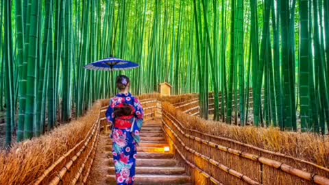 Did You Know? Sagano Bamboo Forest || FACTS || TRIVIA