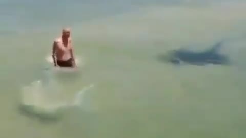 This is a beautiful and charming water-dwelling species