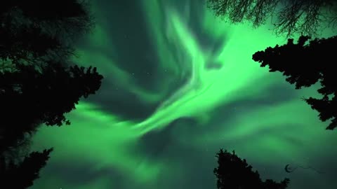 Aurora Borealis 🚨 Northern lights put on "spectacular" show in rare display over Alaska