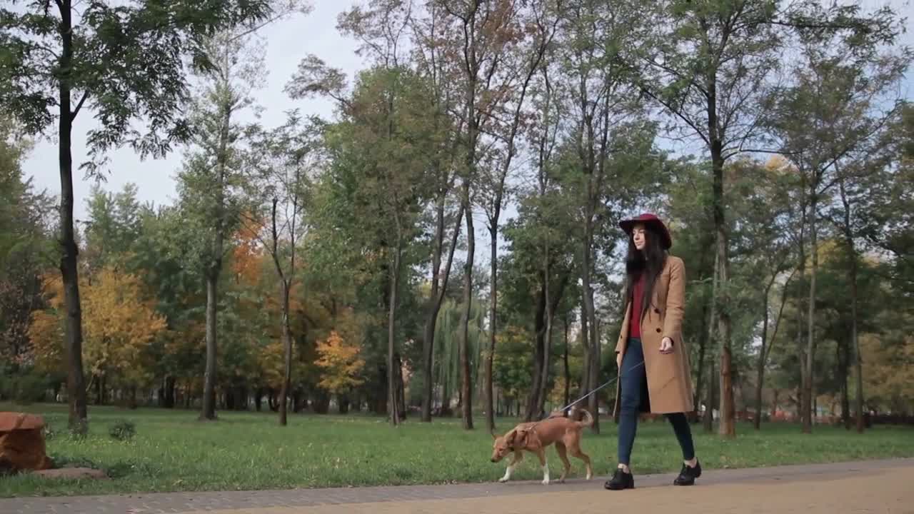 Walking the dog in the park