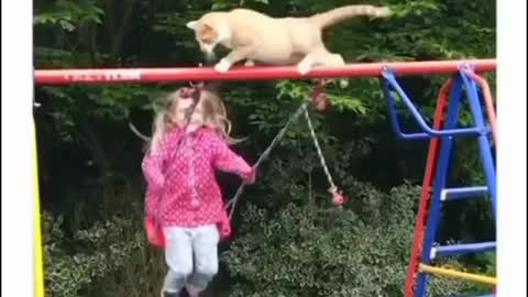 playing swing with the cat