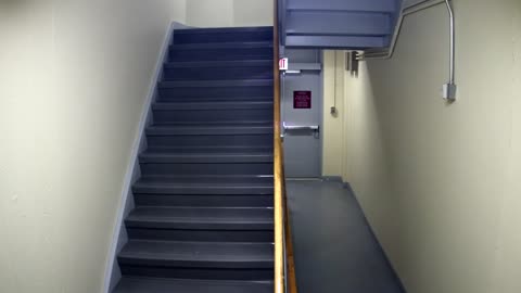 3865FHOB01Stair10_2021-01-05_04h40min00s383ms.mp4