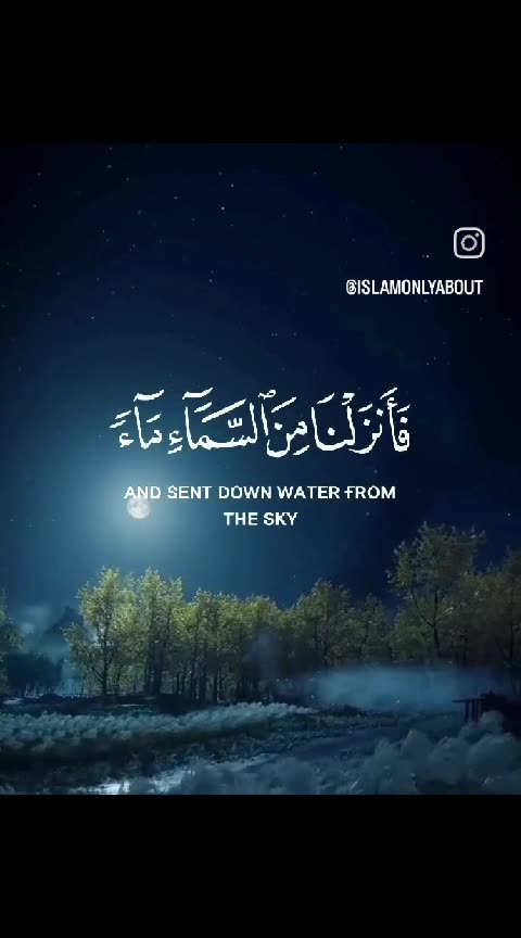 Heart touching quran recitation (beautiful voice)