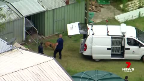 Energex worker dies after being mauled by dogs in Greenbank | 7NEWS