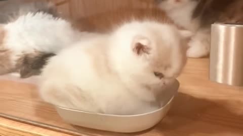 Don’t bother me