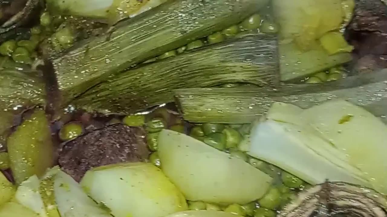 Tajine marocchino con carciofi e patate