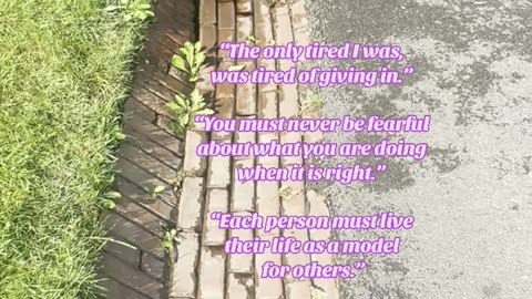 Rosa Parks 💕: Quote