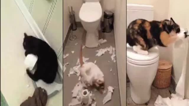 So funny video 😂😂😂