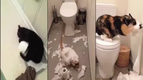 So funny video 😂😂😂